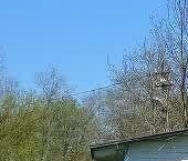 Продать Дачи, коттеджи, загородные дома д. Трусово, 36   