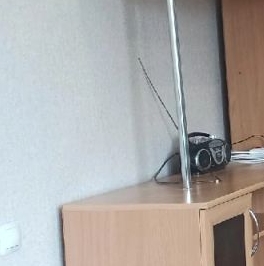 Аренда 1-комн квартиры на вторичном рынке пос. Тельмана, улица Онежская, 2