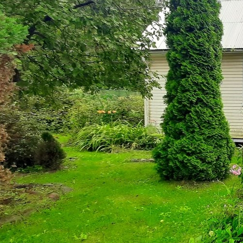 Коттедж/дом Восход садоводческий массив, Кировец-3/10 СНТ, улица Новаторов, 10