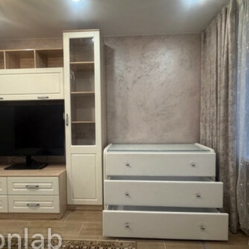 1-комн квартира Красный Бор, ул Культуры,  д. 3