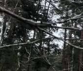 Продать Дачи, коттеджи, загородные дома Союз-2 СНТ, улица 4-я Озерная   