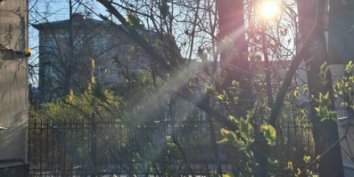 1-комн квартира улица Савушкина,  д. 59