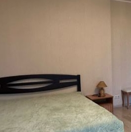 Аренда 1-комн квартиры на вторичном рынке 5-я Парковая улица, 6 Аренда 1-комн квартиры на вторичном рынке 5-я Парковая улица, 6