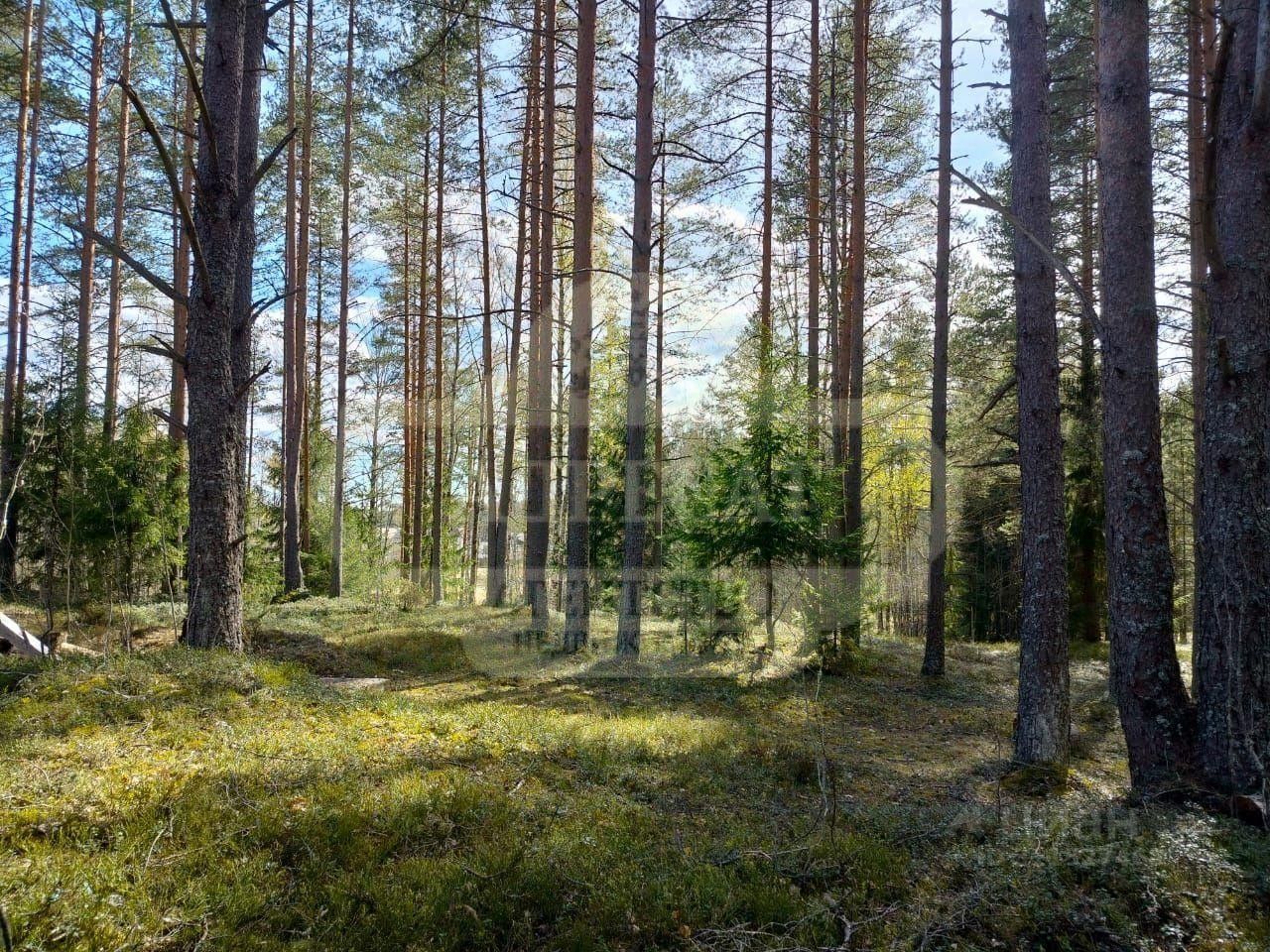 Продажа земли Лемболово Парк-9 кп,  д. 69