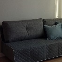 Аренда студии Новоселье городской поселок, улица Петропавловская, 13