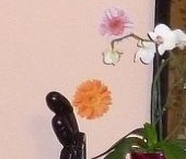 Продать Квартиры вторичка Западный мкр, улица 25 лет Октября, 18   