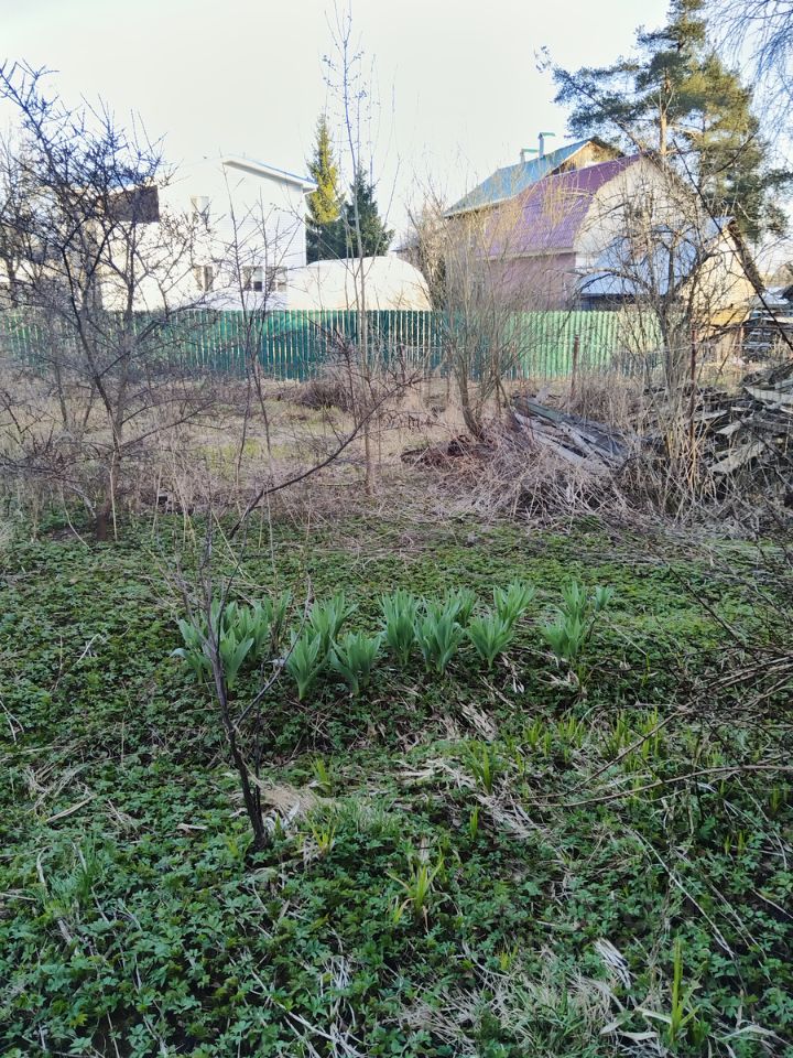 Продажа дома пос. Левашово, Ручейная улица, 6