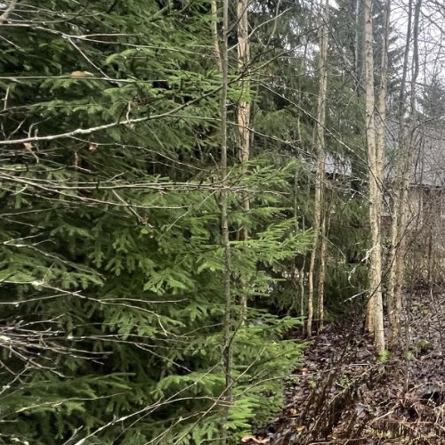 Коттедж/дом Пупышево садоводческий массив, Сокол СНТ, 9-я линия