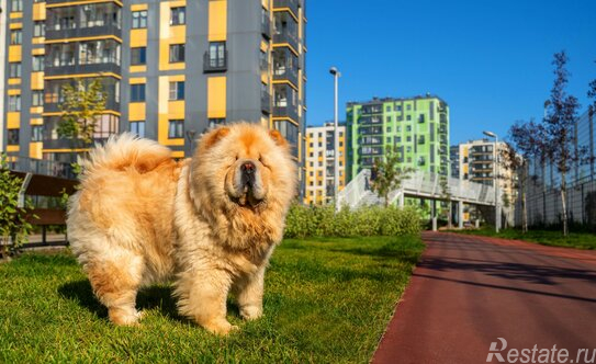 Продажа 2-комн квартиры на вторичном рынке Заневское городское поселение, Ясная улица,  д. 9 к2