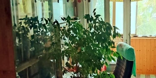 3-комн квартира Туристская улица, 20К2