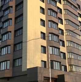 Продажа 1-комн квартиры на вторичном рынке Володарского п, Центральная ул,  д. 22