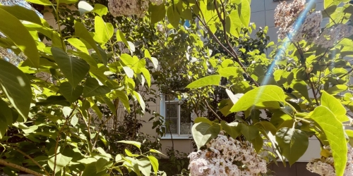 2-комн квартира Сертолово, Выборгское шоссе, 1