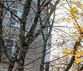 Сдать в аренду Квартиры вторичка Коптевская улица, 34К2   