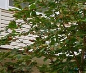 Продать Квартиры вторичка Подольск, проезд Авиаторов, 2   