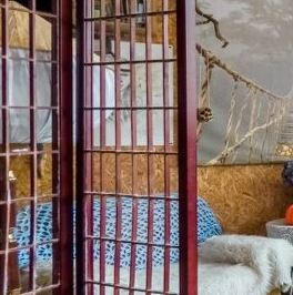 Продажа дома Ваганово садовый массив, Ладожец СНТ,  д. 145