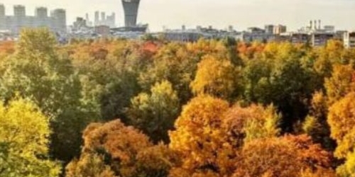 2-комн квартира Песчаный переулок, 4