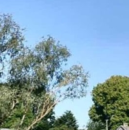 Продажа земли д. Подгородье, улица Новгородская, 2 Продажа земли д. Подгородье, улица Новгородская, 2