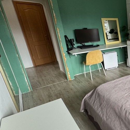 2-комн квартира д. Разметелево, 8