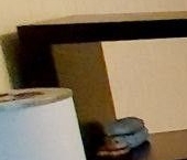 Сдать в аренду Квартиры вторичка Михневская улица, 8   