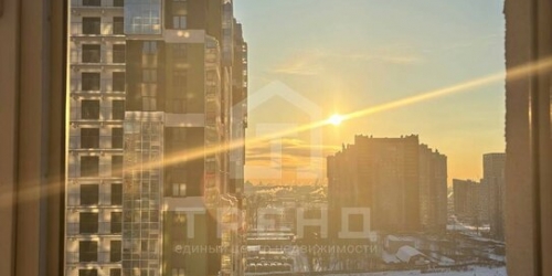 1-комн квартира Кушелевская дор,  д. 5,  к. 8