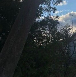 Продажа земли Петровское д,  д. 3