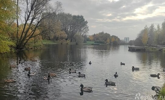 Продажа 2-комн квартиры на вторичном рынке Чечерский проезд