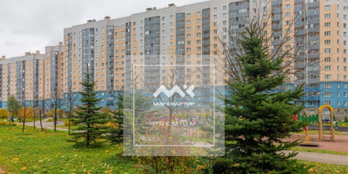 1-комн квартира улица Белышева,  д. 5/6