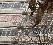 Сдать в аренду Квартиры вторичка Мытищи, Олимпийский проспект, 26к3   