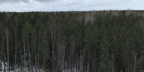 1-комн квартира Ломоносов г., Михайловская ул. ,  д. 51,  к. 3