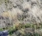 Продать Земельные участки, земля Плодоягодное тер.  23 