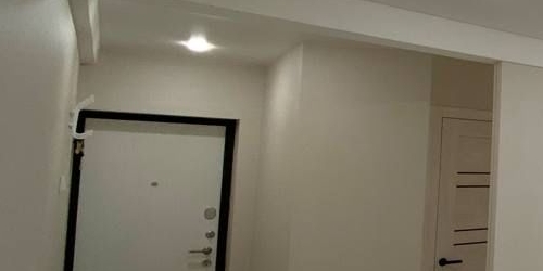 2-комн квартира Новоизмайловский проспект, 17