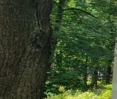 Продать Квартиры вторичка Рублевское шоссе, 97К3   