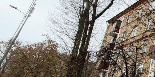 3-комн квартира Перовская улица, 30/2