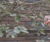 Продать Квартиры вторичка Волгоградский проспект, 32/5к2   