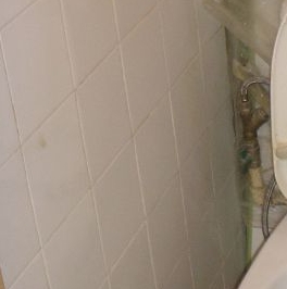 Аренда 1-комн квартиры на вторичном рынке проспект Науки, 27