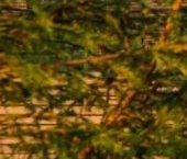 Продать Дачи, коттеджи, загородные дома пос. Стрельна, Красносельское шоссе, 107к4   