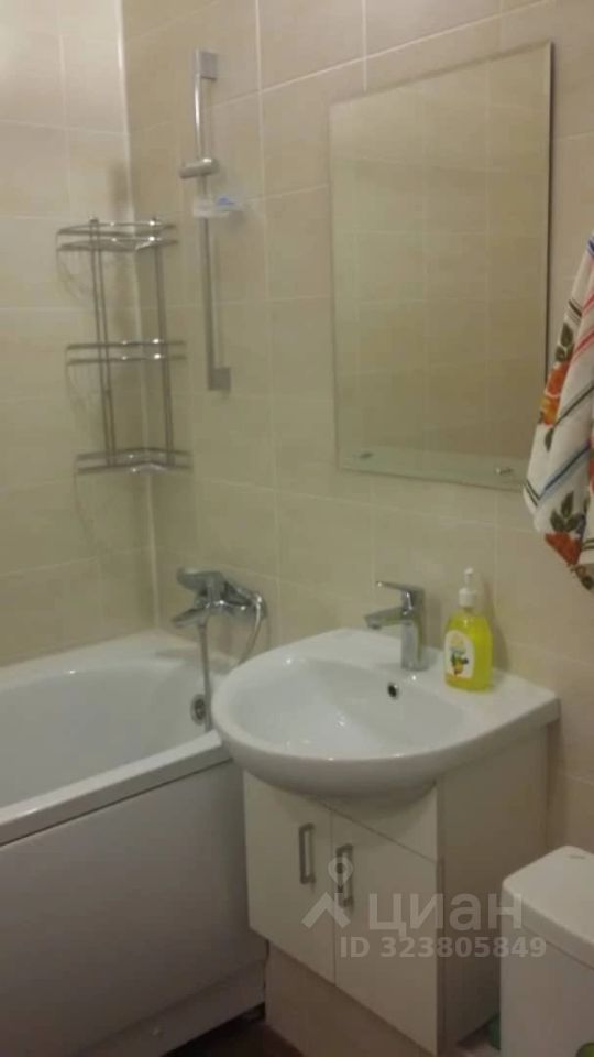 Аренда 1-комн квартиры на вторичном рынке Муринская дор,  д. 4