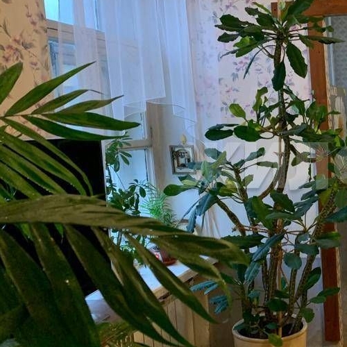 5-комн квартира Садовая улица, 44