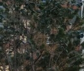 Сдать в аренду Квартиры вторичка Ленинградское шоссе, 228к5   