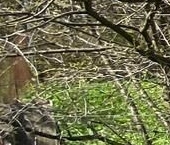 Продать Дачи, коттеджи, загородные дома пос. Северный, Петровский мкр, улица Уральская, 14   