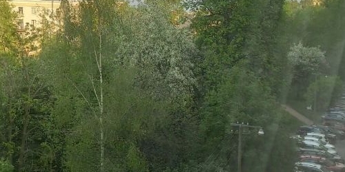 1-комн квартира Большеохтинский проспект, 1К1