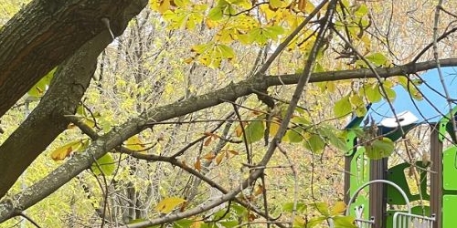 3-комн квартира Мячковский бульвар, 8К4