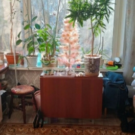 Продажа 2-комн квартиры на вторичном рынке Каширское ш,  д. 148,  к. 1