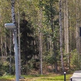 Продажа земли Вартемяги Вилладж кп, д. Вартемяги Продажа земли Вартемяги Вилладж кп, д. Вартемяги