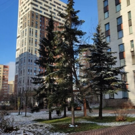 Продажа 1-комн квартиры на вторичном рынке ул Фитарёвская,  д. 19