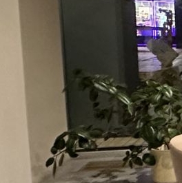 Аренда 1-комн квартиры на вторичном рынке улица Годовикова, 11к2 Аренда 1-комн квартиры на вторичном рынке улица Годовикова, 11к2