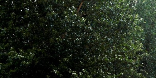 2-комн квартира улица Серегина, 3