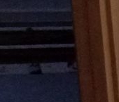 Продать Квартиры вторичка улица Лидии Зверевой, 9к1   