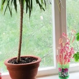 Аренда 2-комн квартиры на вторичном рынке улица Димитрова, 16К3