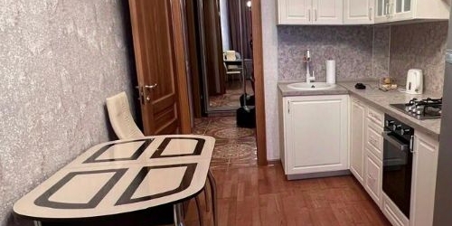 1-комн квартира проспект Добролюбова, 1/79